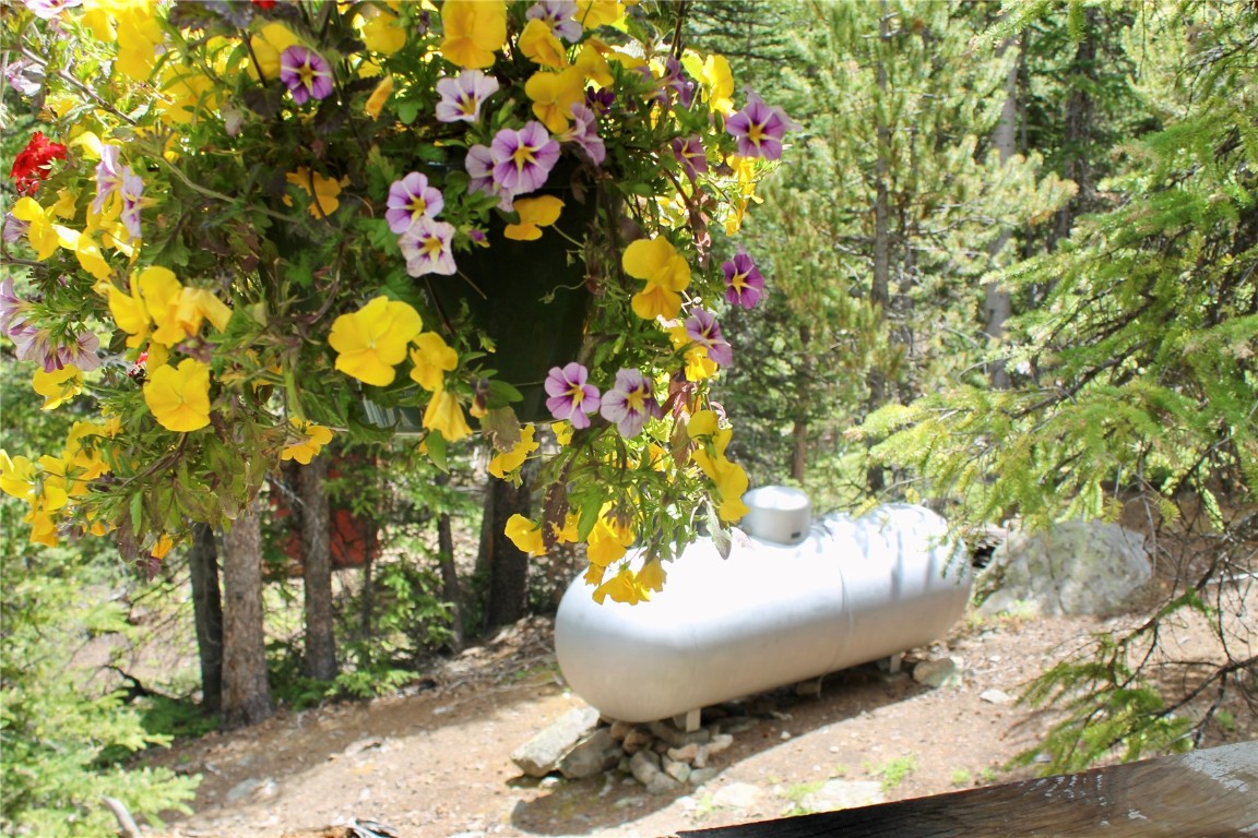2190 Kootchie Kootchie Road Alma, CO 80420 - Photo 23 of 35 a view of a flowers in a vase on a table