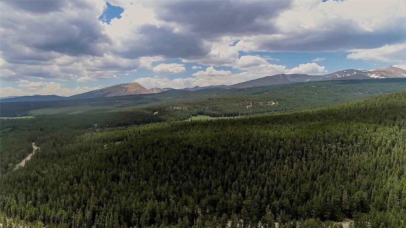 2190 Kootchie Kootchie Road Alma, CO 80420 - Photo 27 of 35 a view of a city with lush green forest