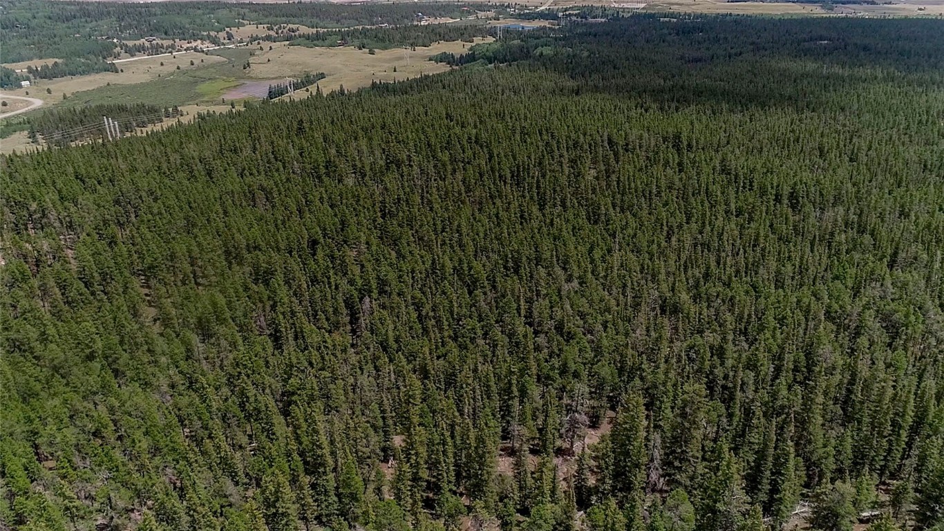 2190 Kootchie Kootchie Road Alma, CO 80420 - Photo 34 of 35 a view of a lake and green field