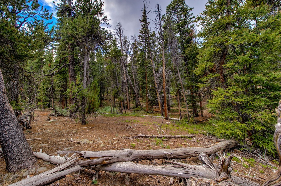 2190 Kootchie Kootchie Road Alma, CO 80420 - Photo 4 of 35 a view of a backyard with trees