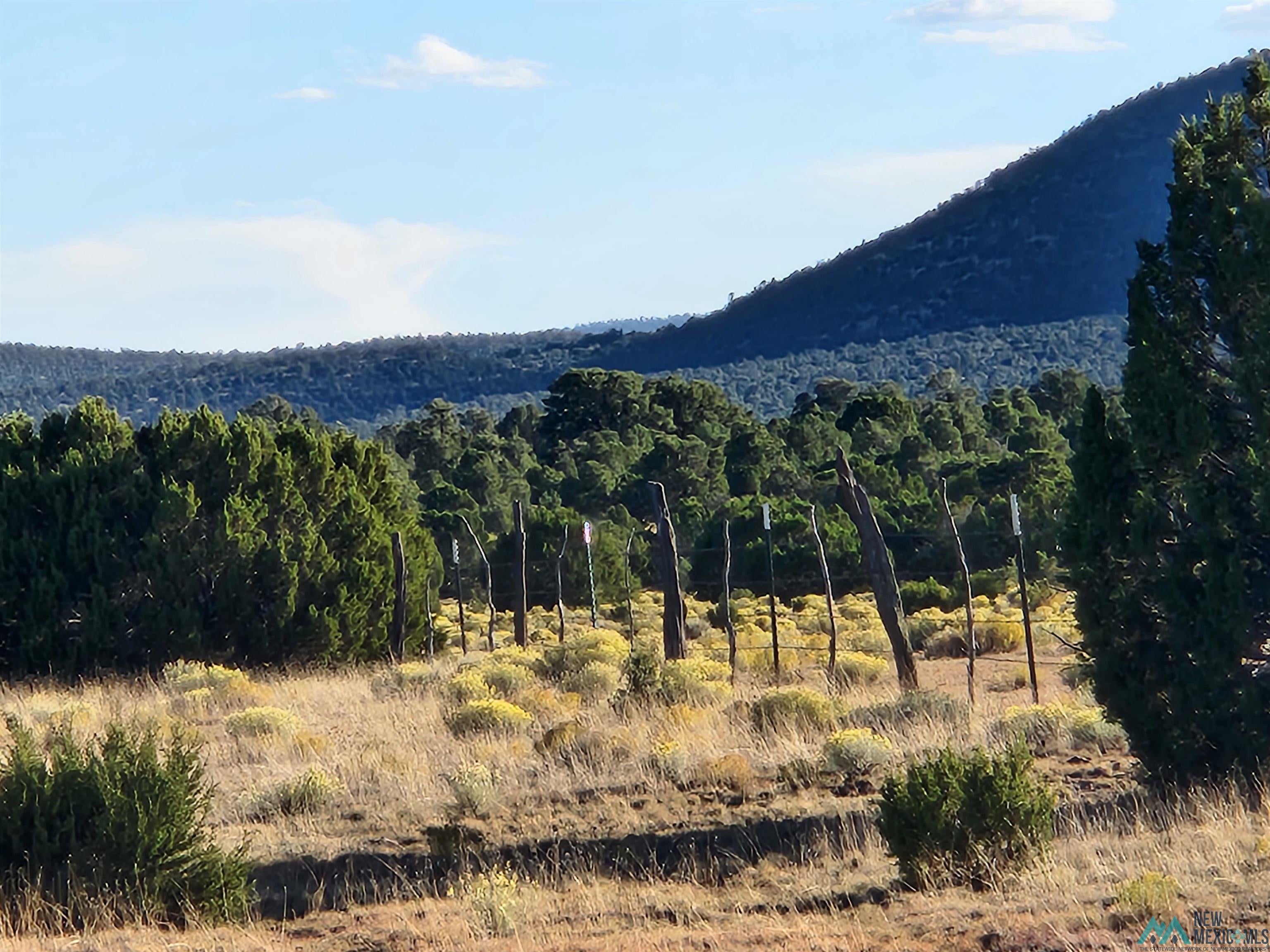 Tbd Mangas Road Quemado, NM 87829 - Photo 4 of 15