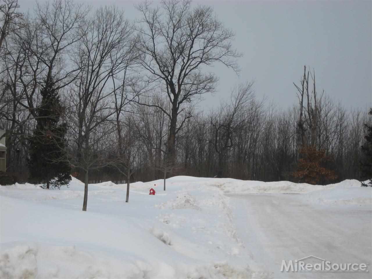 3458 Tremonte Creek Rochester, MI 48306 - Photo 3 of 17 31181990-2.JPG