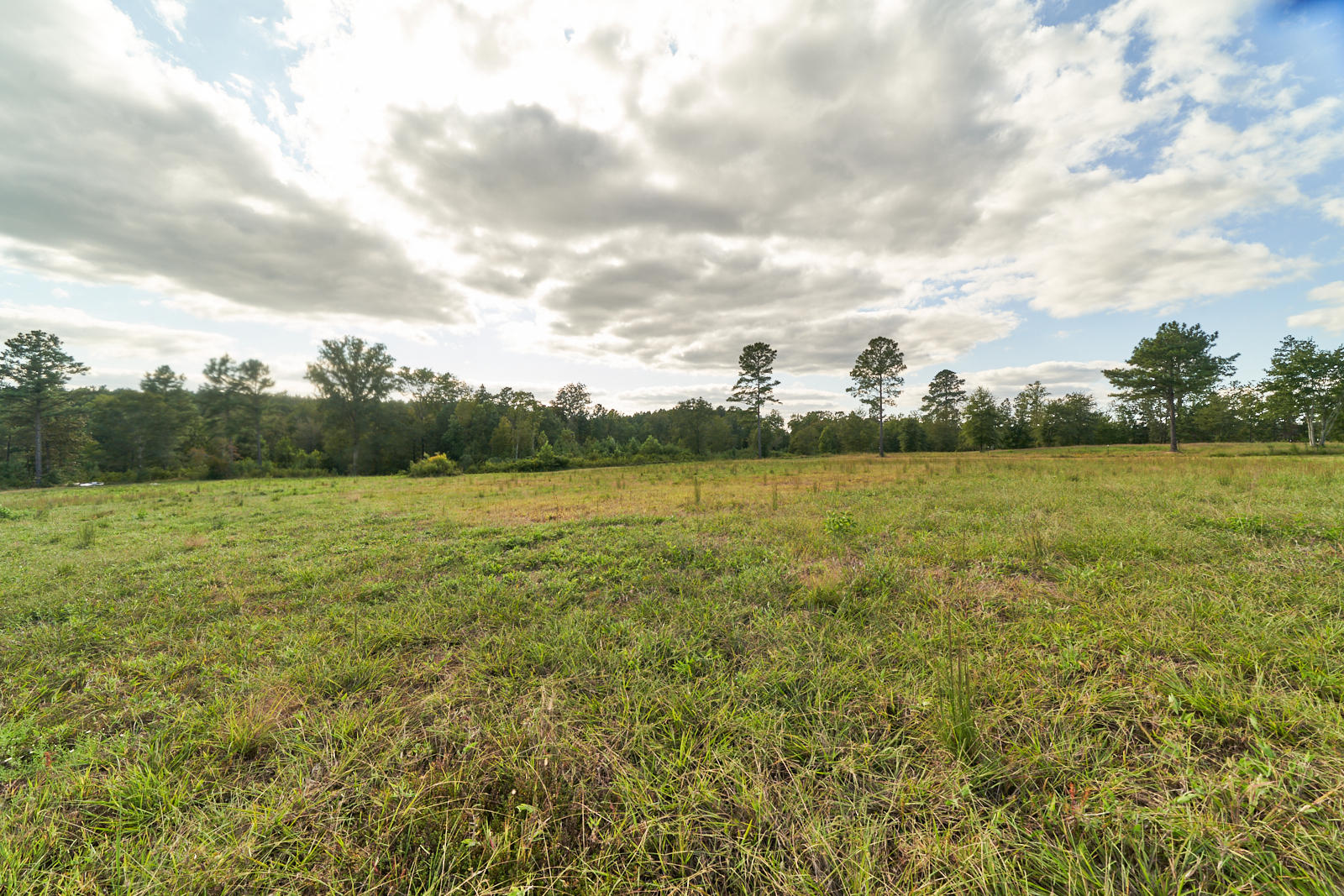 523 Coles Mill Road Carthage, NC 28327 - Photo 56 of 60 523 Coles Mill Rd., Carthage_78