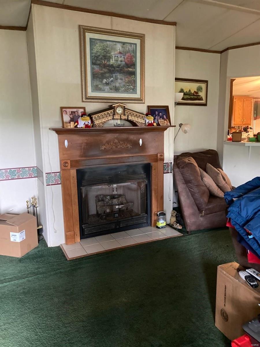 20472 Croxford Road Grafton, IL 62037 - Photo 6 of 54