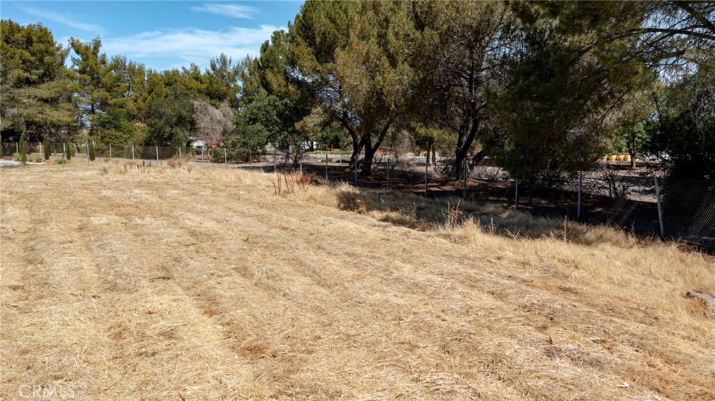 8 Sutter Street Red Bluff, CA 96080 - Photo 20 of 21 a view of outdoor space with trees