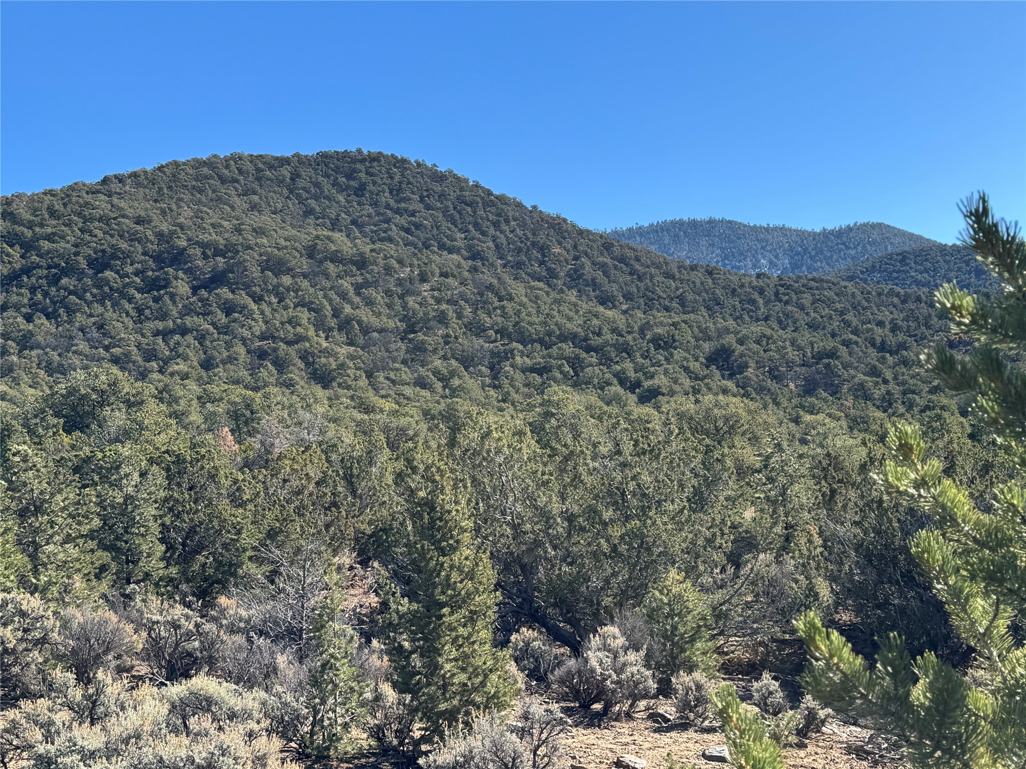 4 Verde Road Taos, NM 87571 - Photo 8 of 16