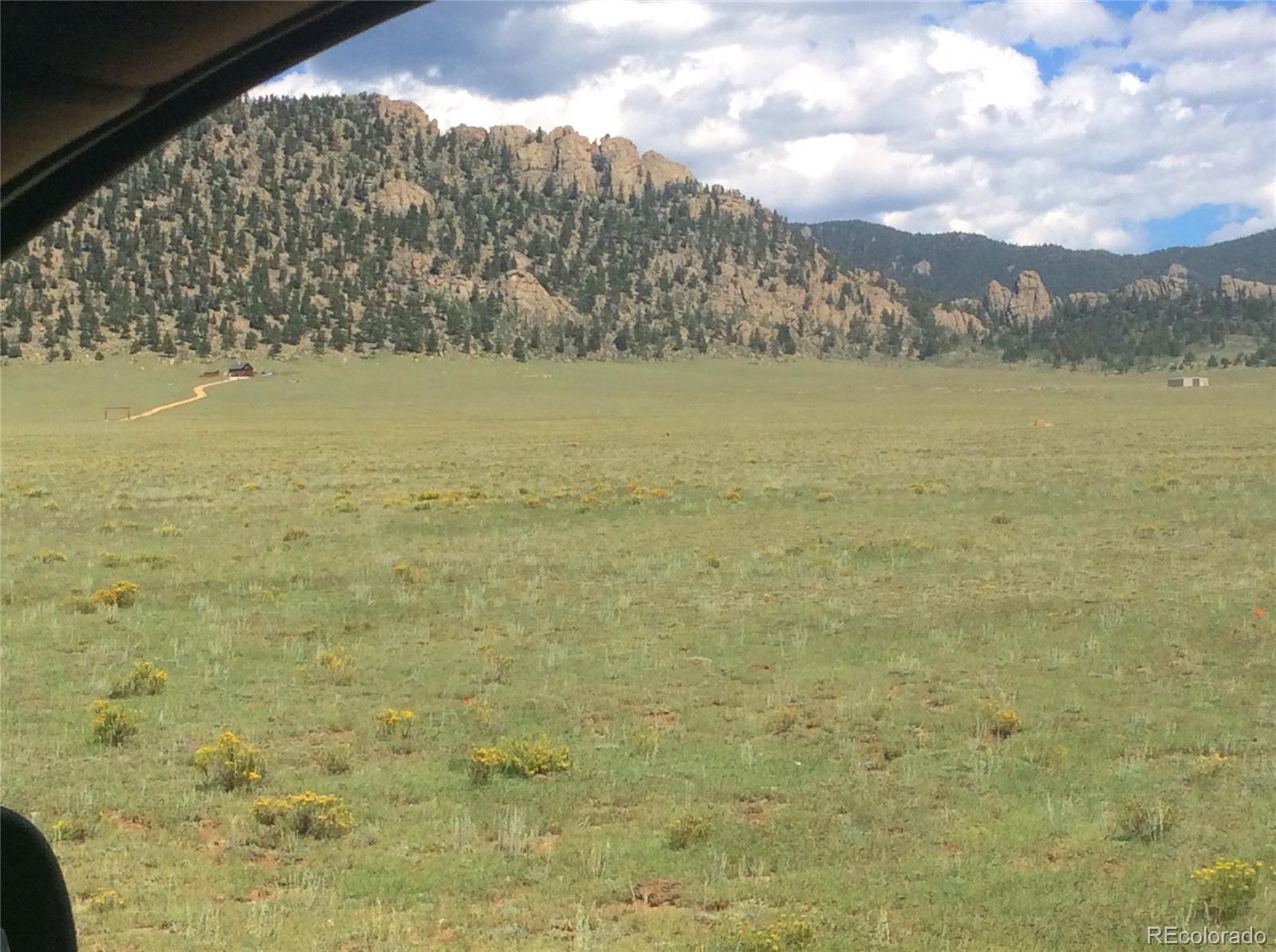 High Chaparral Road Lake George, CO 80827 - Photo 3 of 7 Gallery Image 3
