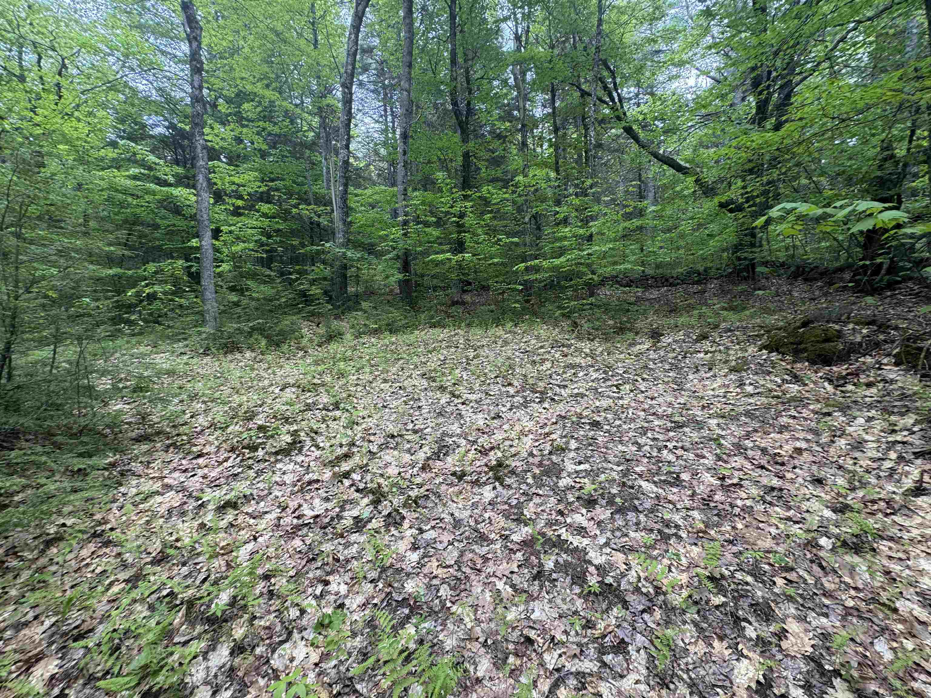 Lot 13 Beach Pond Road Wolfeboro, NH 03894 - Photo 3 of 17