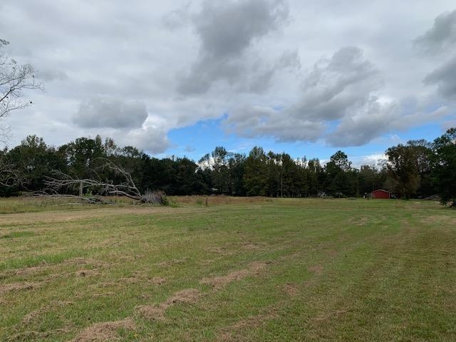 16550 Pne Grv Rd Extension North Bay Minette, AL 36507 - Photo 41 of 42