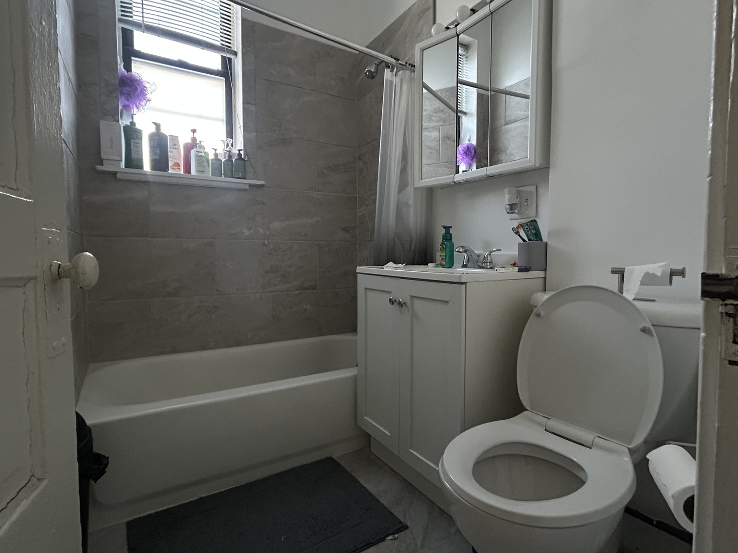 1443 West Taylor Street Chicago, IL 60607 - Photo 7 of 13