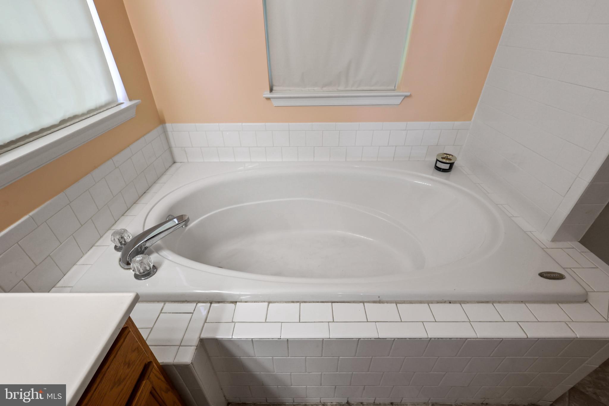 9716 Penguin Place Upper Marlboro, MD 20772 - Photo 18 of 84 Primary Bathroom Tub