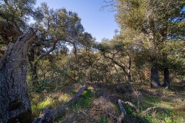 1865 Day Valley Road Aptos, CA 95003 - Photo 6 of 7 Gallery Image 6