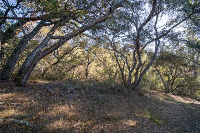 1865 Day Valley Road Aptos, CA 95003 - Photo 7 of 7 Gallery Image 7