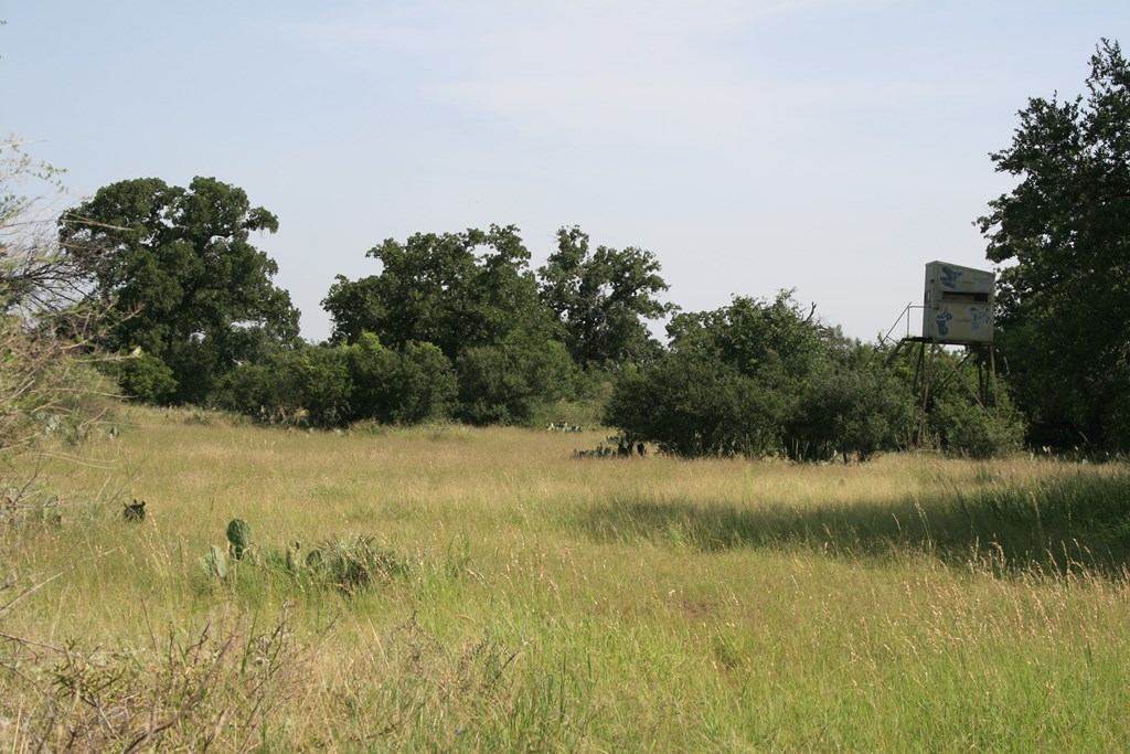 0 Other Llano, TX 78643 - Photo 7 of 33