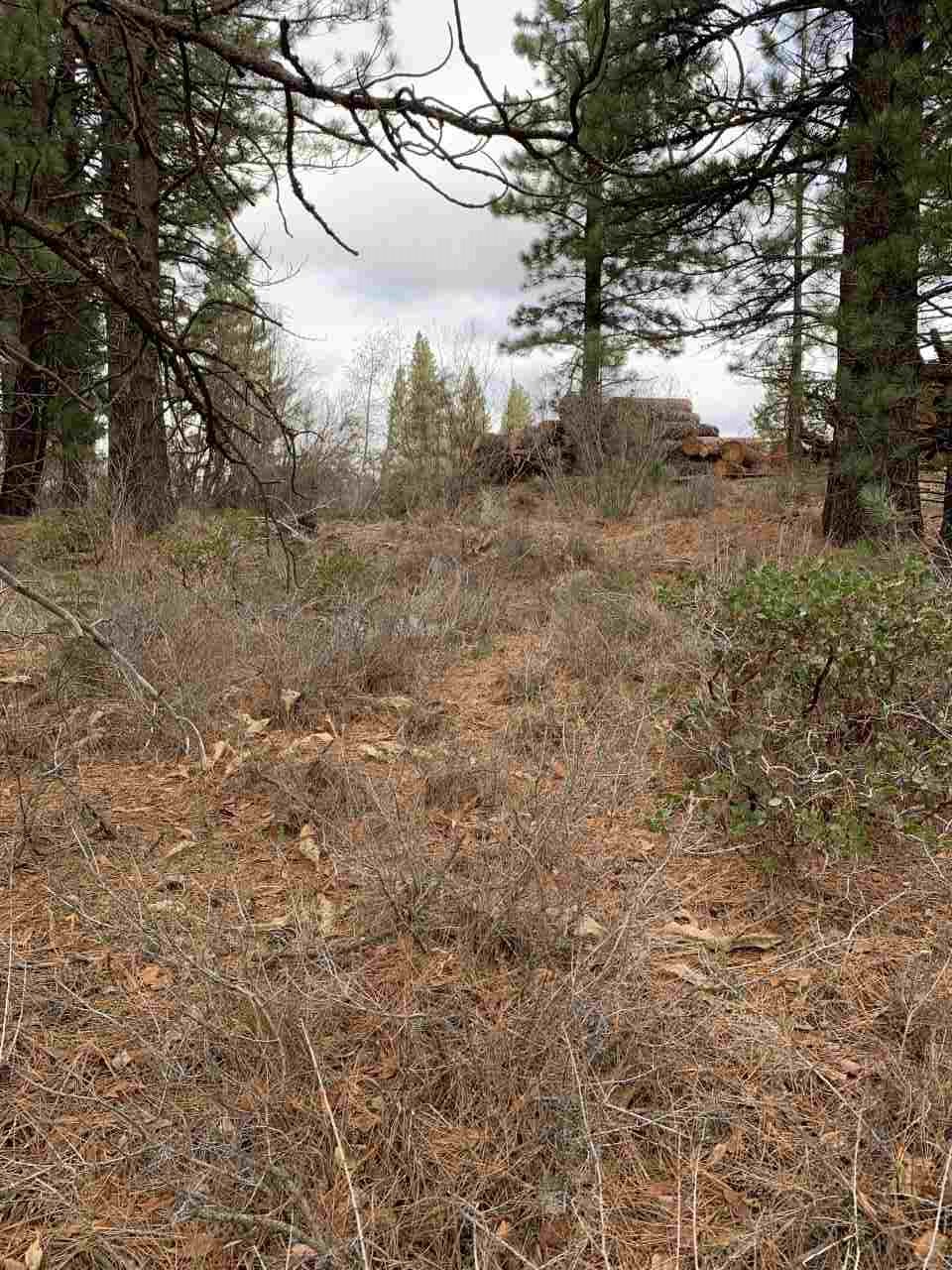 10 Mill Road Calpine, CA 96124 - Photo 3 of 18