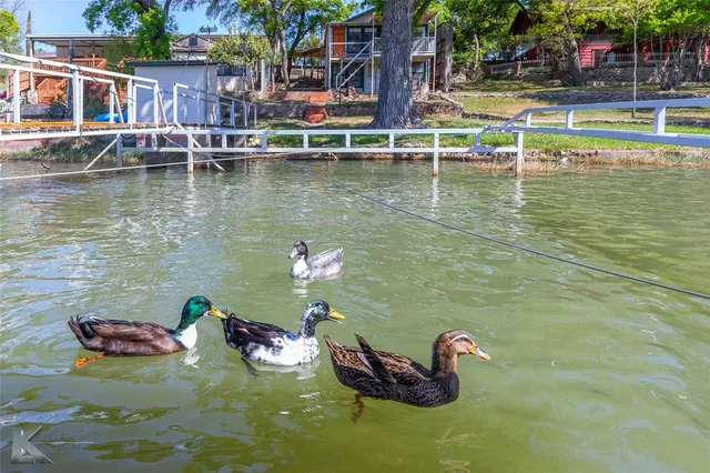 $325,000 | 8425 County Road 464, Brownwood, TX 76801