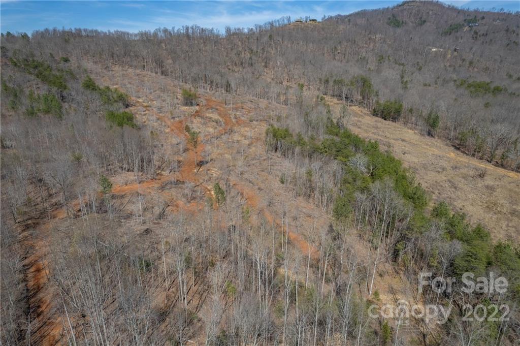 0 Waters Road Bostic, NC 28018 - Photo 24 of 48 a view of a dry field with trees in the background