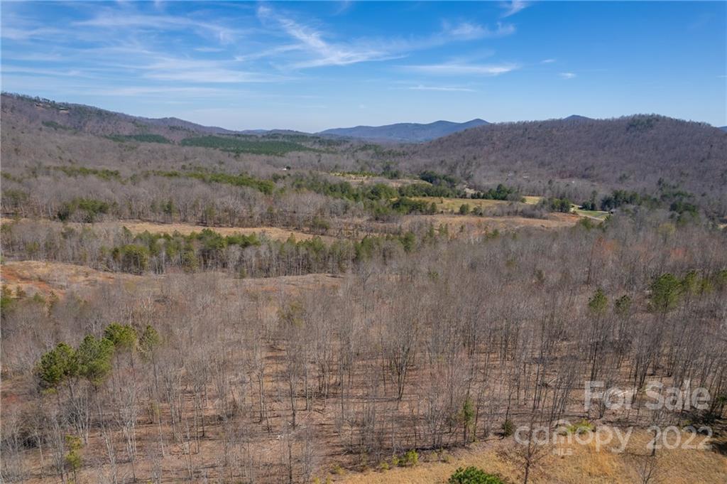 0 Waters Road Bostic, NC 28018 - Photo 33 of 48 a view of a lush green hillside and a houses