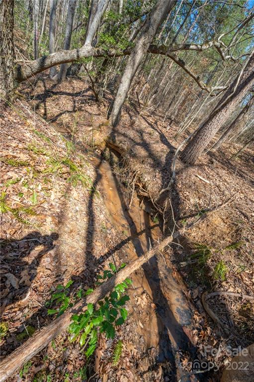 0 Waters Road Bostic, NC 28018 - Photo 34 of 48 a yard with tall trees