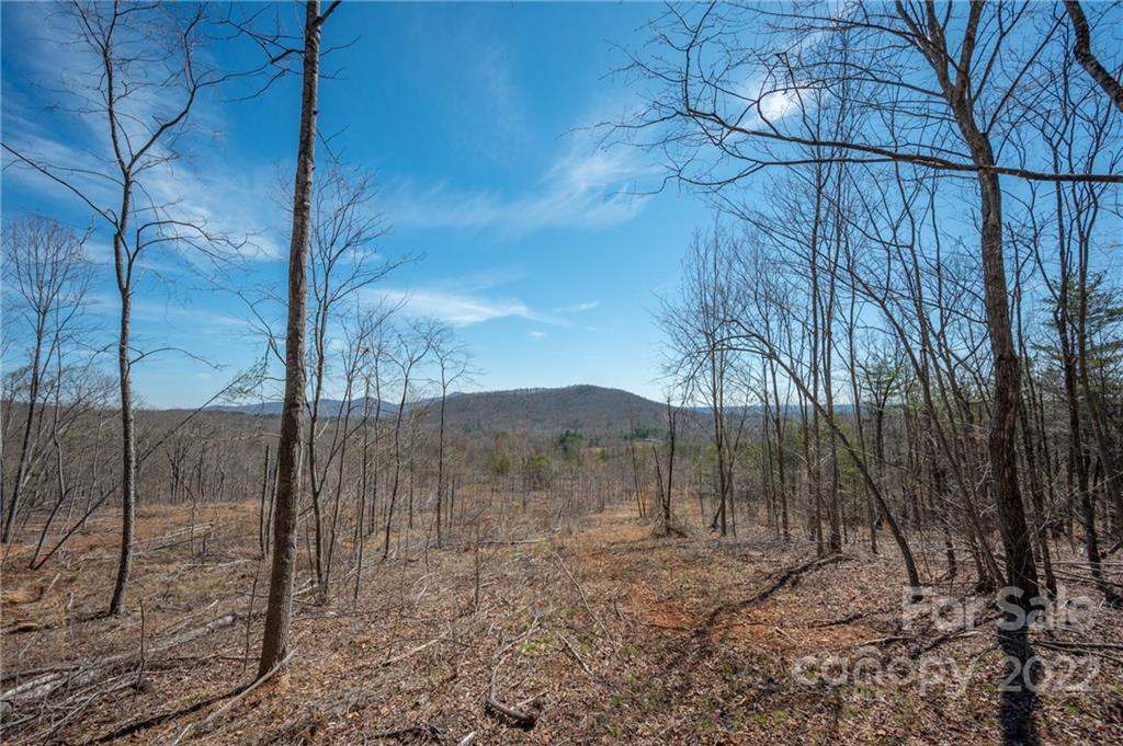 0 Waters Road Bostic, NC 28018 - Photo 35 of 48