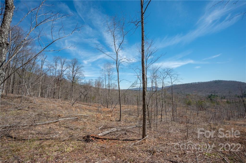 0 Waters Road Bostic, NC 28018 - Photo 36 of 48 a backyard of a house