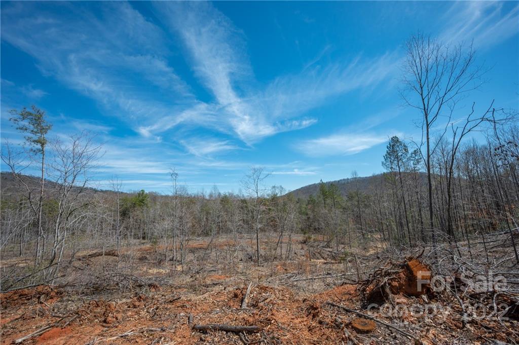 0 Waters Road Bostic, NC 28018 - Photo 39 of 48 a view of an outdoor space with mountain view