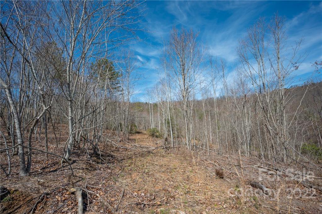 0 Waters Road Bostic, NC 28018 - Photo 41 of 48 a view of backyard with wooden fence