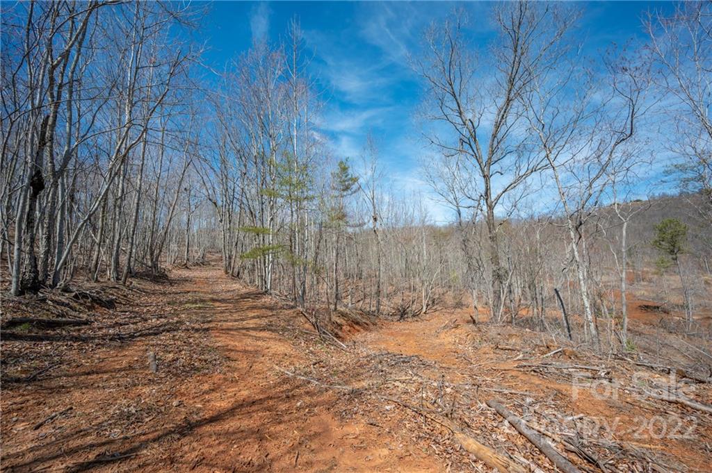 0 Waters Road Bostic, NC 28018 - Photo 43 of 48 a view of a backyard of the house