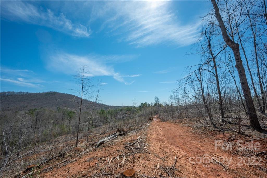 0 Waters Road Bostic, NC 28018 - Photo 45 of 48 a view of a backyard
