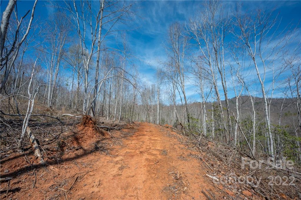 0 Waters Road Bostic, NC 28018 - Photo 46 of 48 a backyard of a house