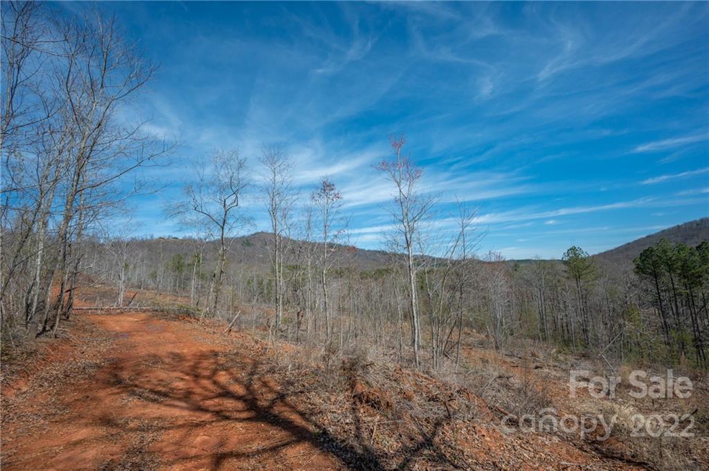 0 Waters Road Bostic, NC 28018 - Photo 48 of 48 a view of a backyard of the house