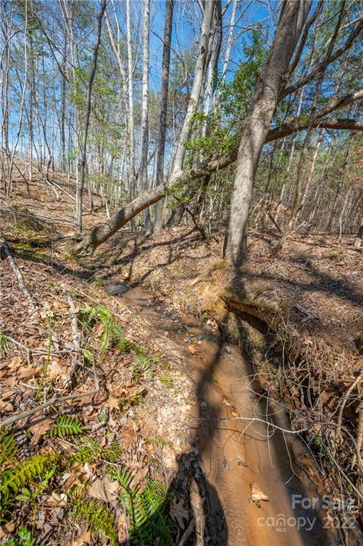 0 Waters Road Bostic, NC 28018 - Photo 5 of 48 a view of forest