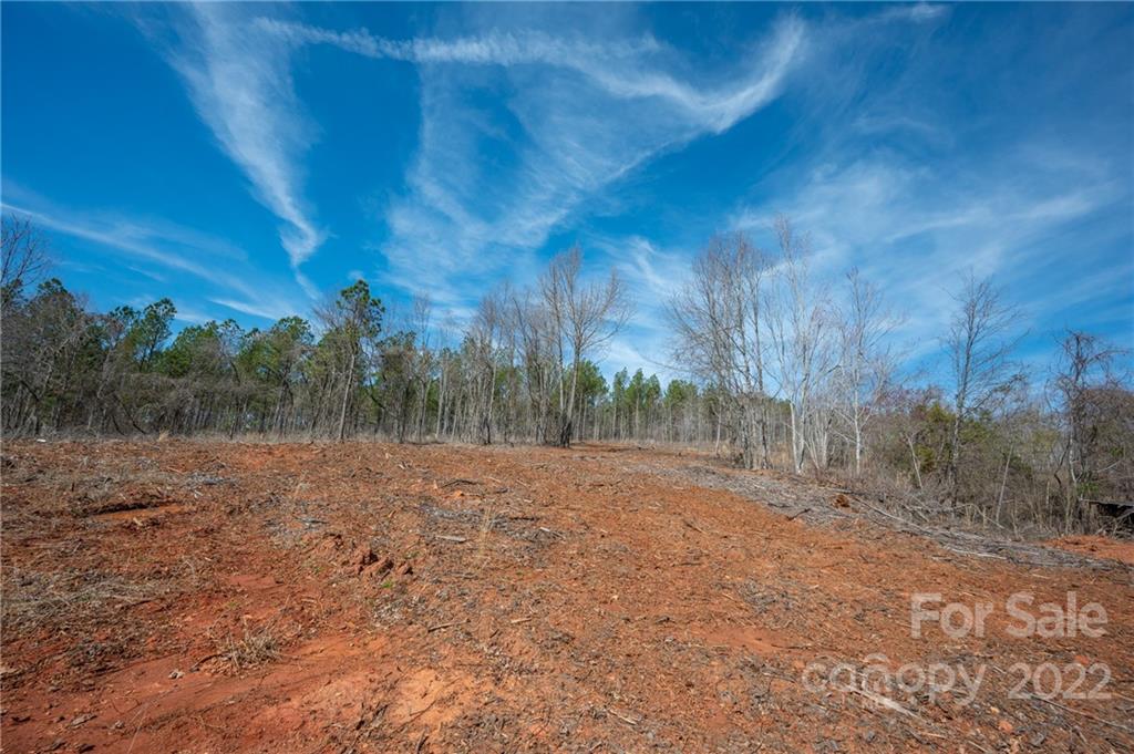 0 Waters Road Bostic, NC 28018 - Photo 9 of 48 a view of dirt field with trees