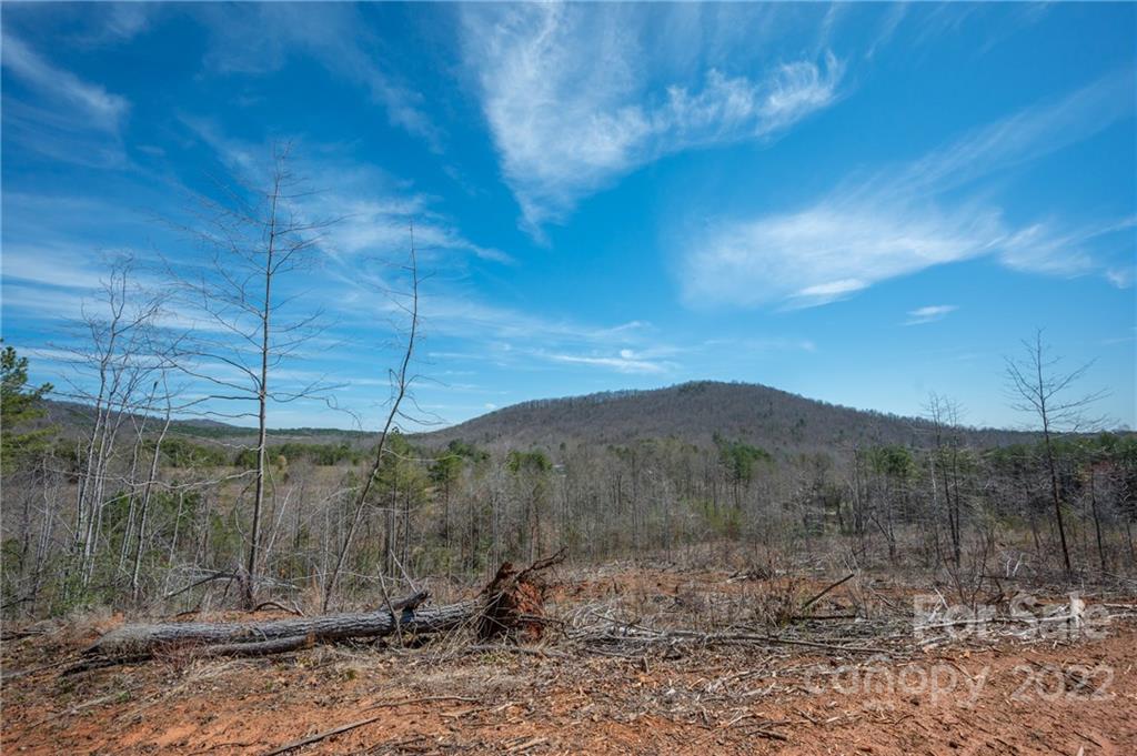 0 Waters Road Bostic, NC 28018 - Photo 10 of 48 a view of a backyard