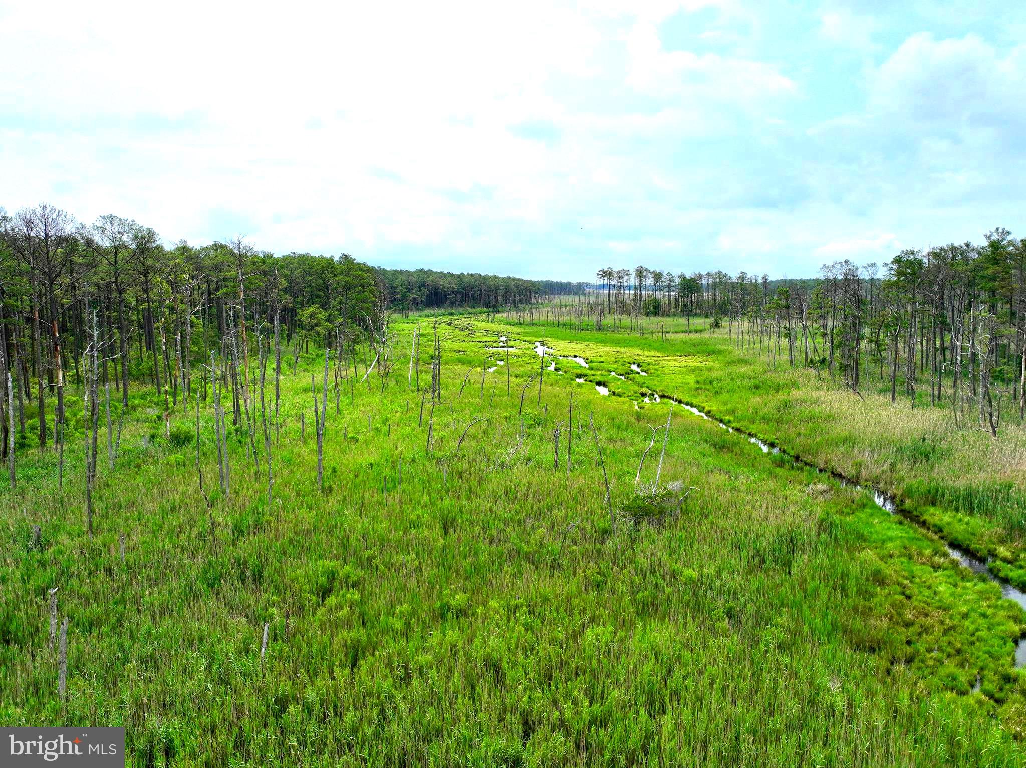 0 Hooper Neck Road Madison, MD 21648 - Photo 37 of 129