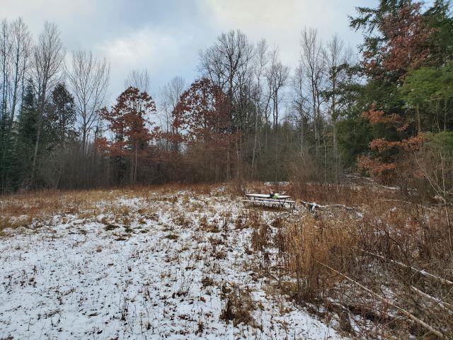 0 Sage Lake Road Lupton, MI 48635 - Photo 5 of 7
