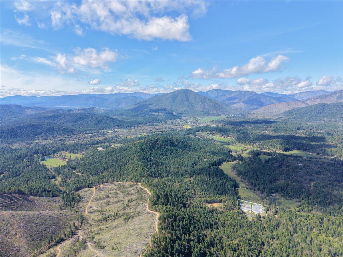 2787 Davis Creek Road Selma, OR 97538 - Photo 15 of 22 a view of a yard with an outdoor space