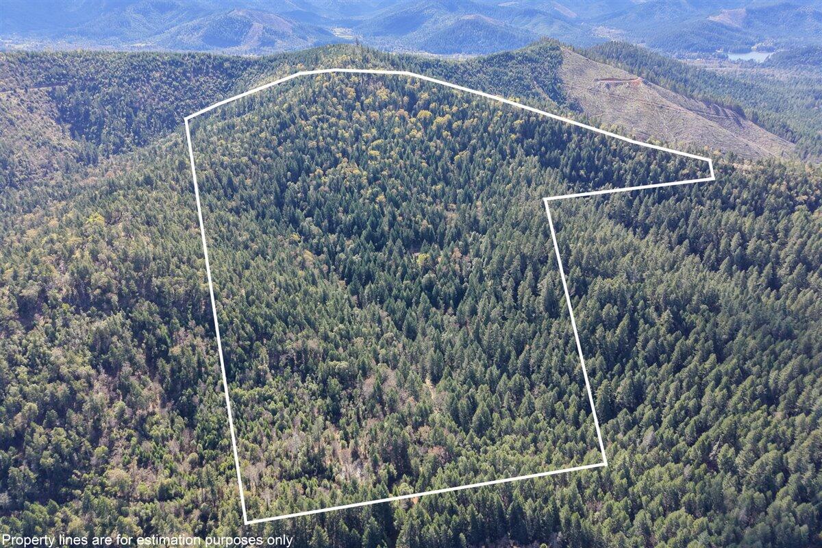 2787 Davis Creek Road Selma, OR 97538 - Photo 21 of 22