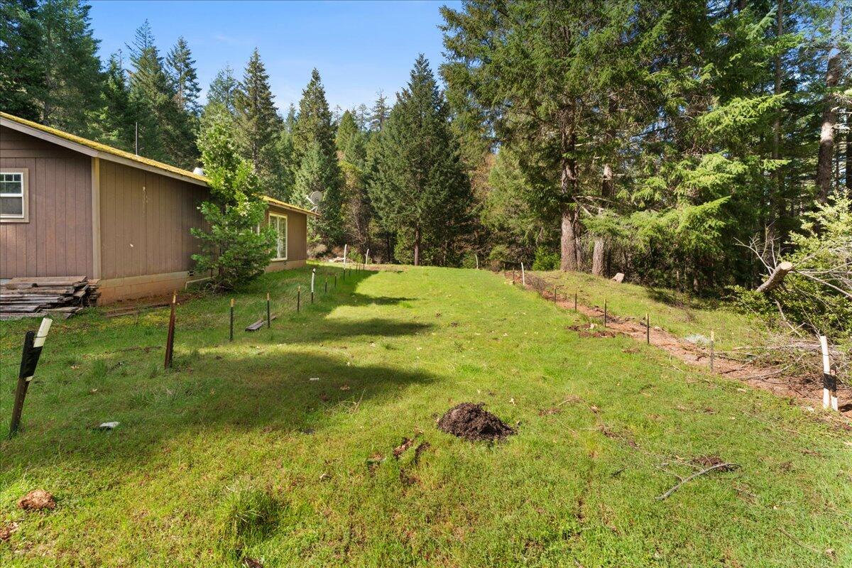 2787 Davis Creek Road Selma, OR 97538 - Photo 7 of 22 a backyard of a house with lots of green space