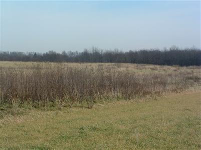0 Haines Road Dayton, OH 45440 - Photo 1 of 1