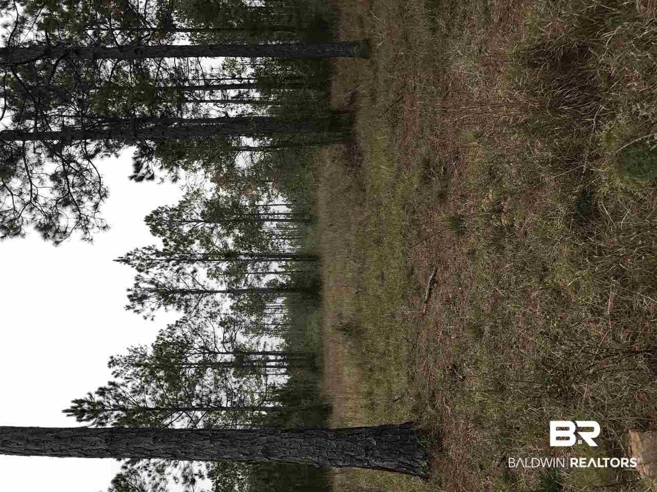 4216 Hawthorne Road Tibbie, AL 36583 - Photo 5 of 5