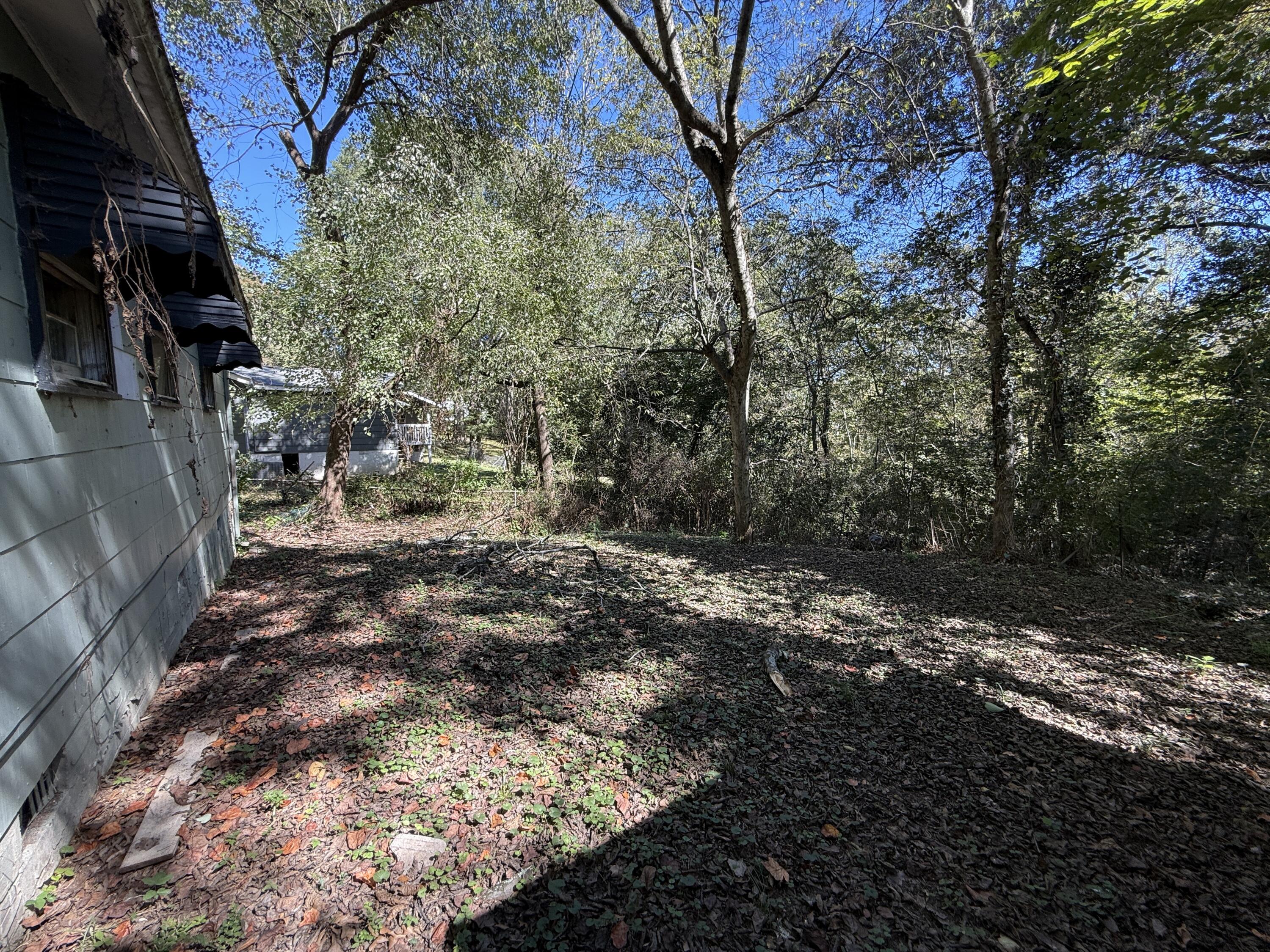 5220 Fagan Street Chattanooga, TN 37410 - Photo 14 of 15 Back Yard