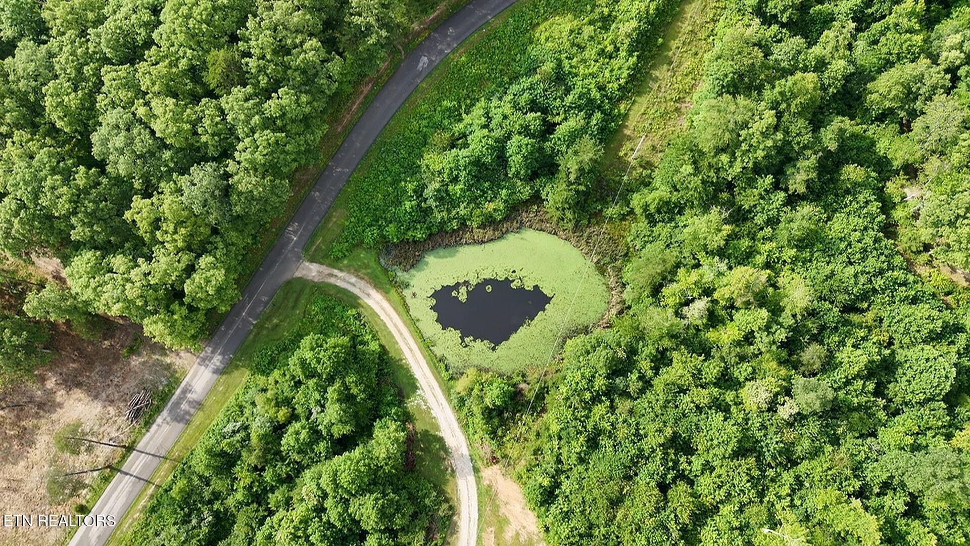 6554 Grave Hill Road Oneida, TN 37841 - Photo 25 of 40 2