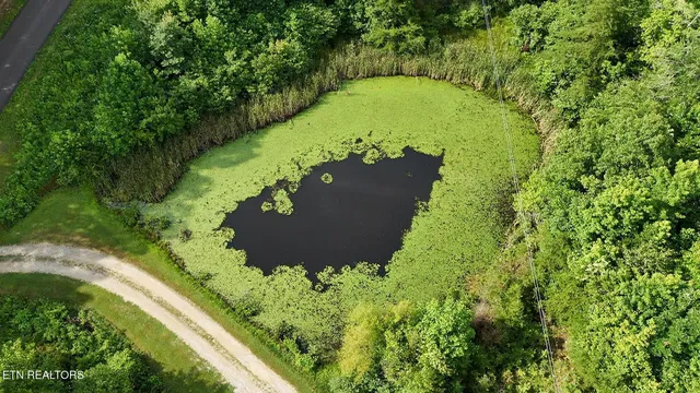 $250,000 | 6554 Grave Hill Road, Oneida, TN 37841