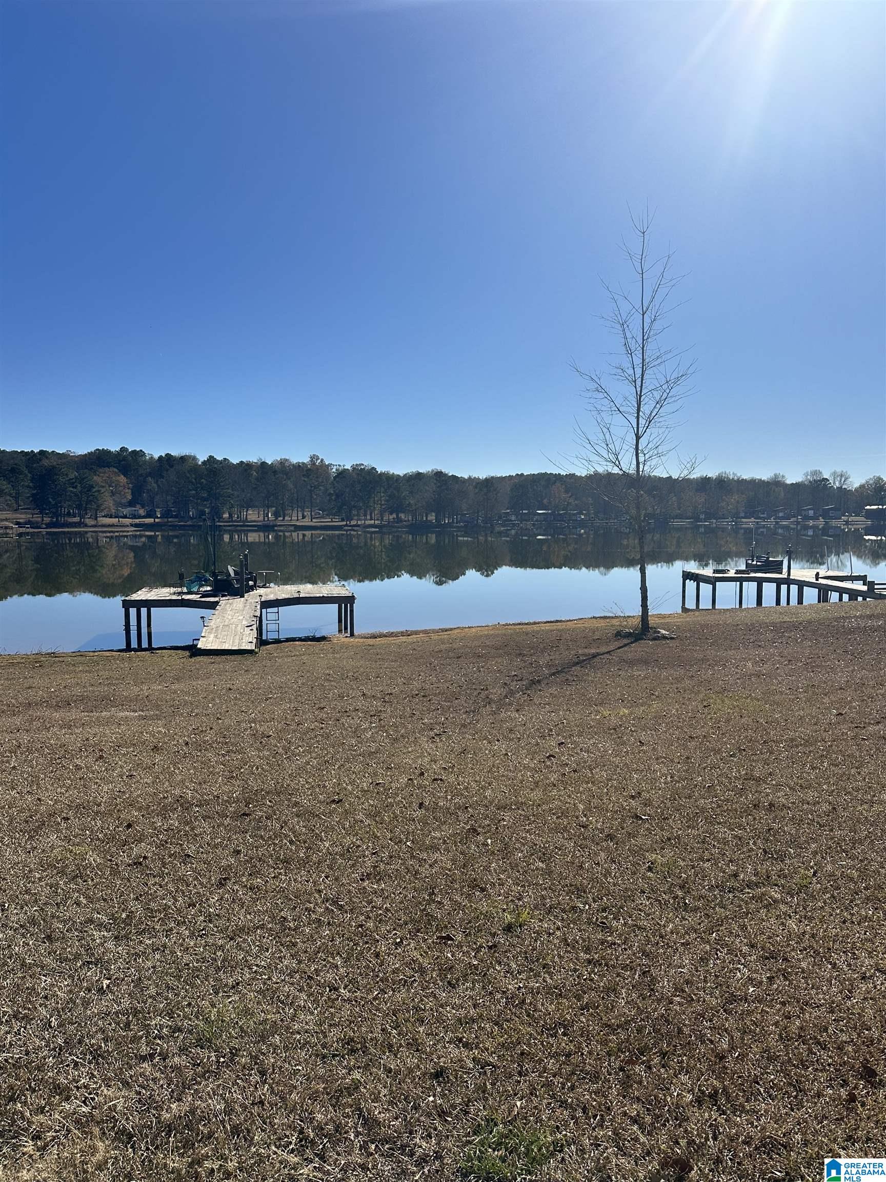 11 Summit Lane Lincoln, AL 35096 - Photo 5 of 31