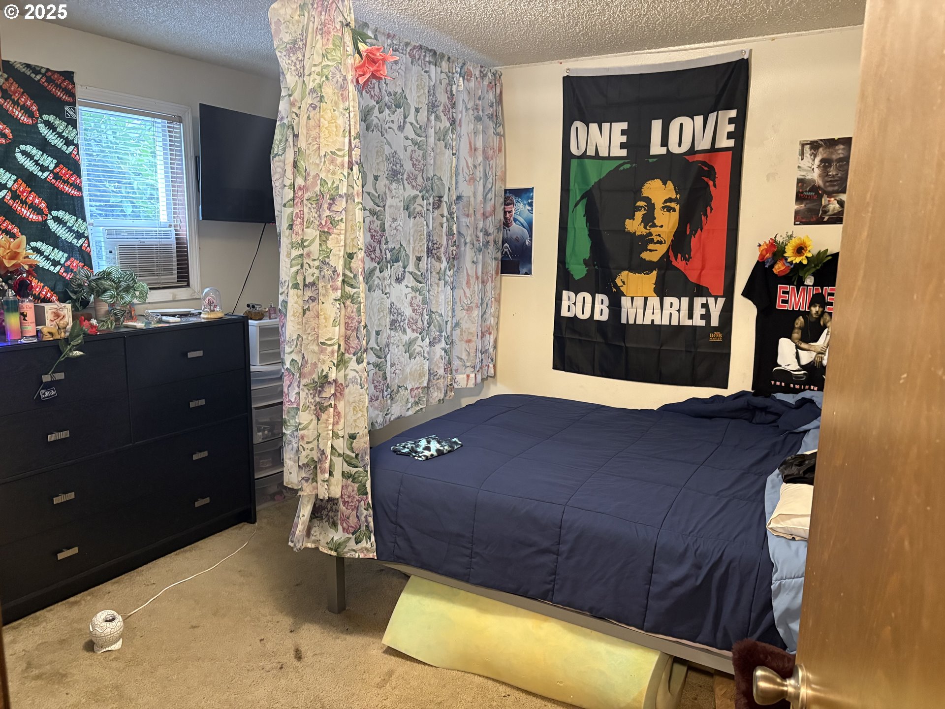 3460 Oxbow Way Eugene, OR 97401 - Photo 7 of 17 a living room with a couch and a potted plant