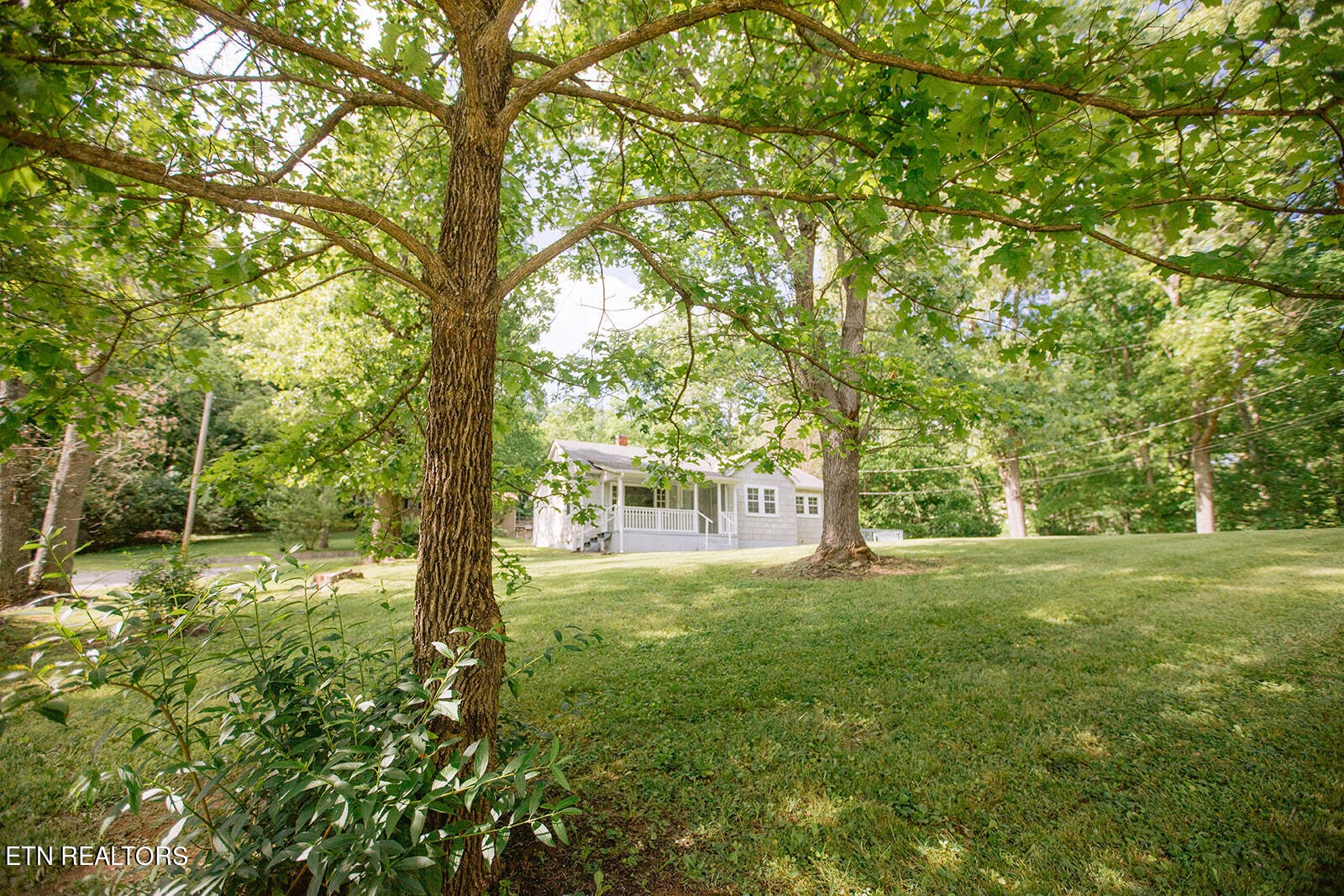 1035 Deaderick Road Knoxville, TN 37920 - Photo 2 of 12 Gallery Image 2