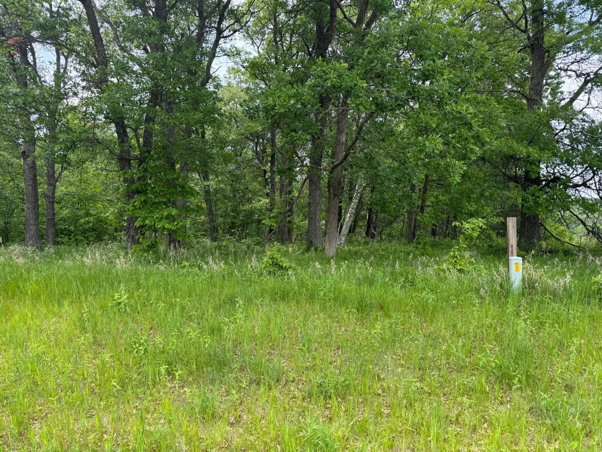 Tbd Tbd Pawnee Breezy Point, MN 56472 - Photo 3 of 3