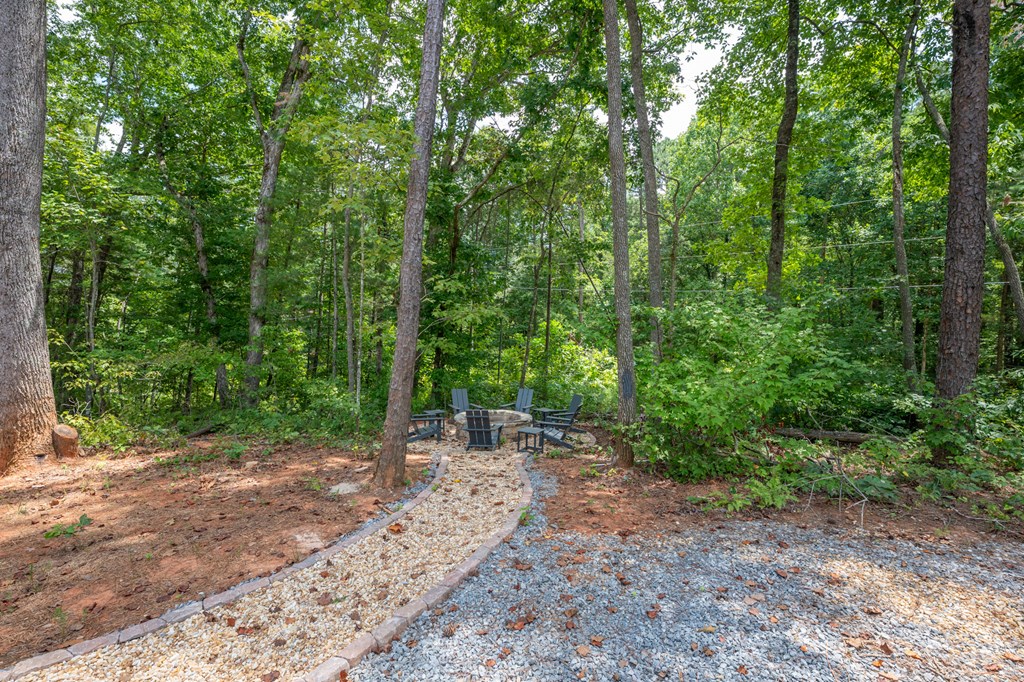 32 Hilton Drive Ellijay, GA 30540 - Photo 35 of 58