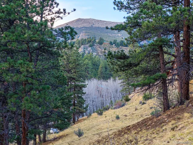 $69,000 | 156 Cline Drive East, Shawnee, CO 80475